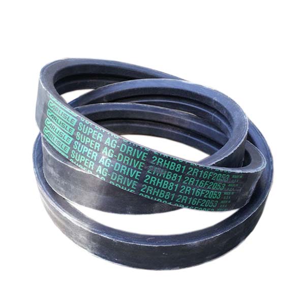 2RHB81 Carlisle double wrist strap