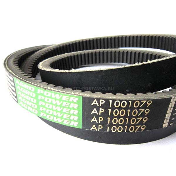 AP1001079 Pasek zębaty OPTIBELT