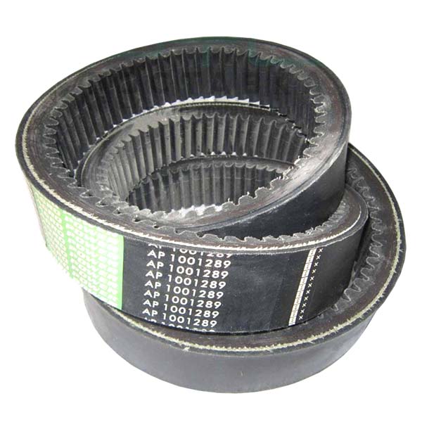 AP1001289 Pas CVT Optibelt