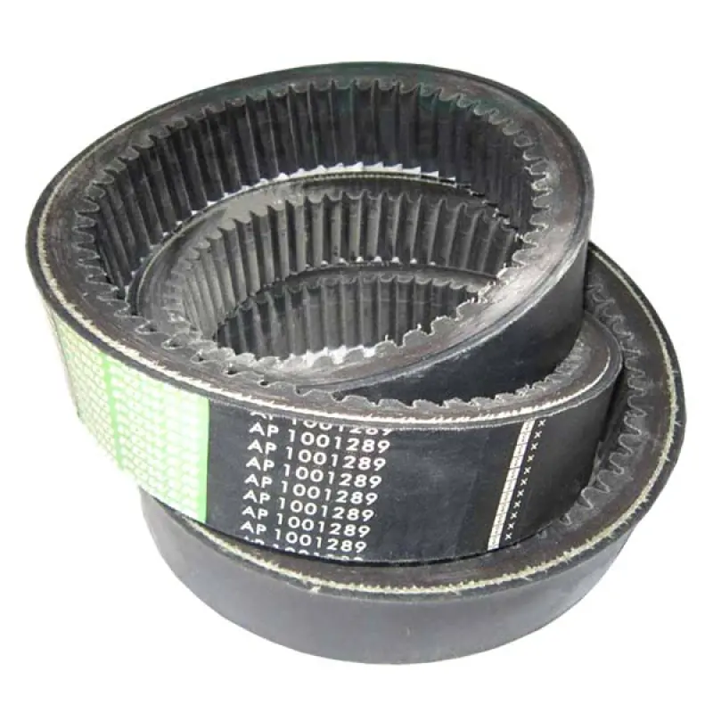AP1001289 Pas CVT Optibelt