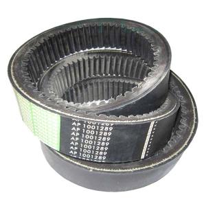AP1001289 Pas CVT Optibelt