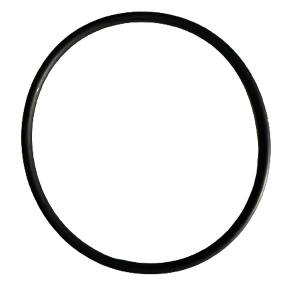 84301978 Ring CNH