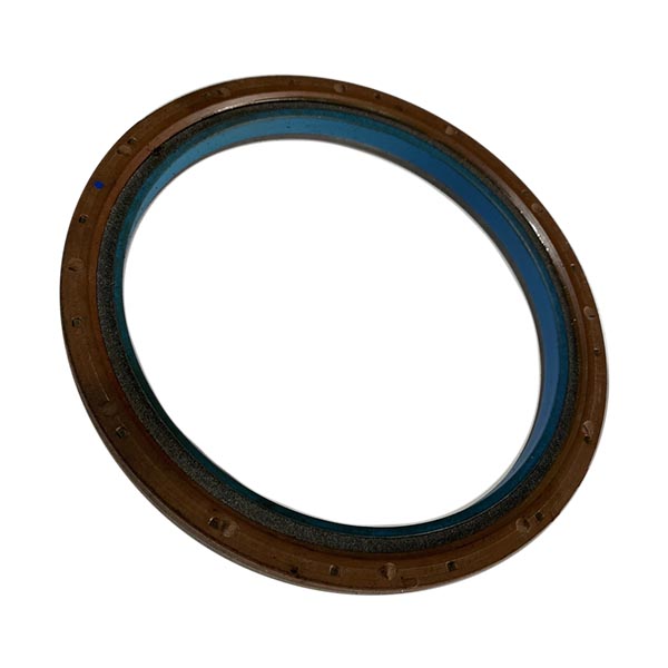 504244493 Uszczelka CNH