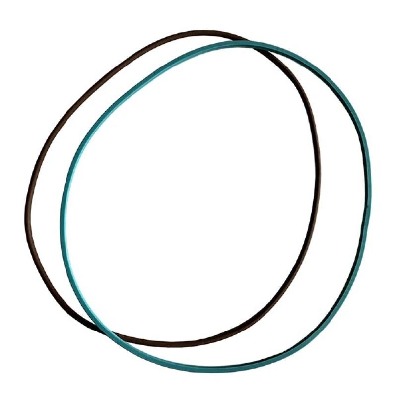 5172302 O-ring CNH