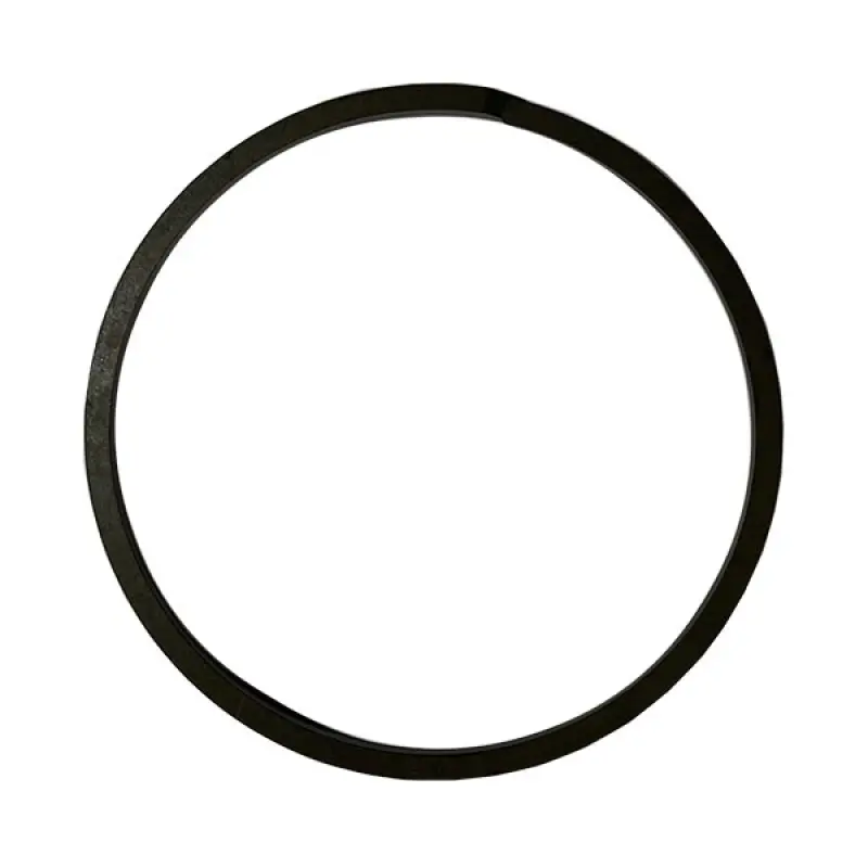 5131232 O-ring CNH