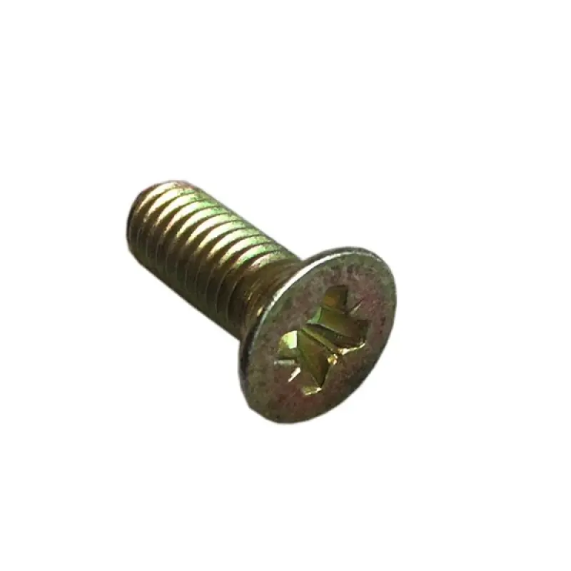 300580 Śruba M6 x16 mm CNH