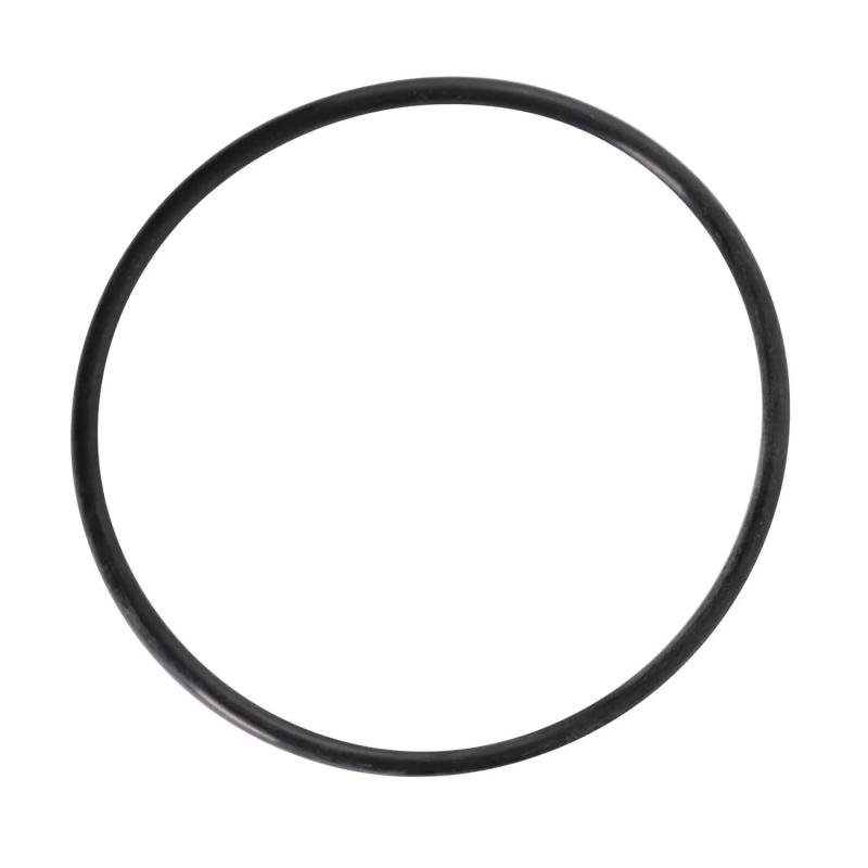 381895 O-ring CNH