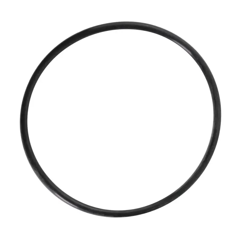 381895 O-ring CNH