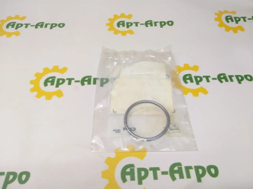 42549209 O-ring CNH