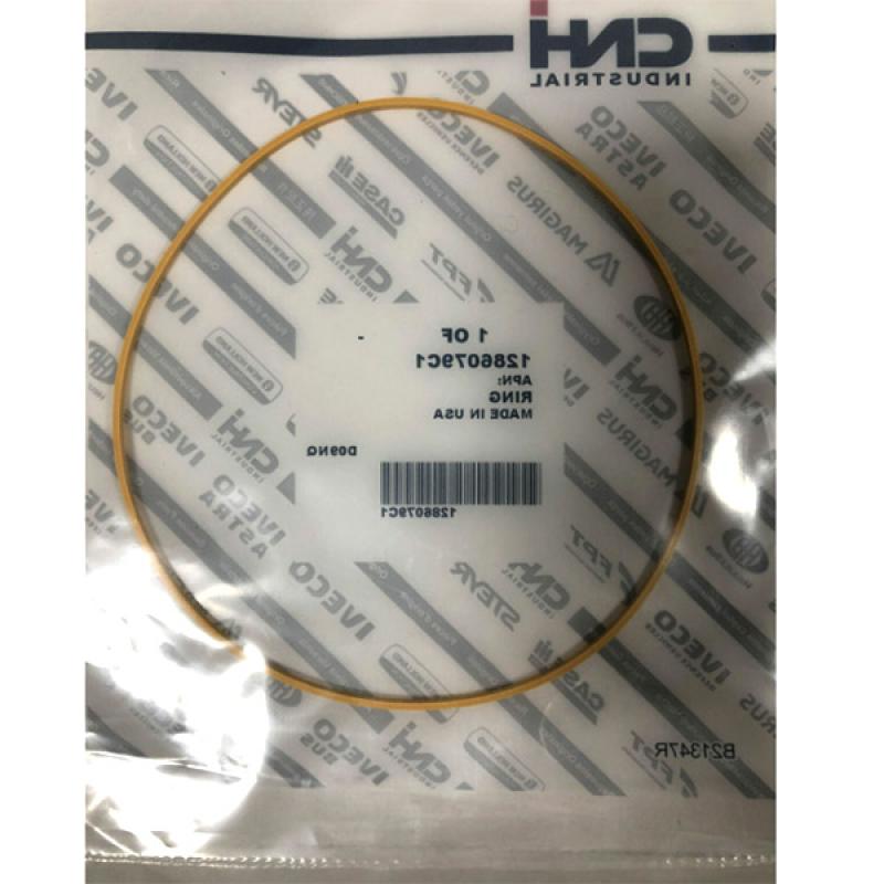 1286079C1 O-ring CNH