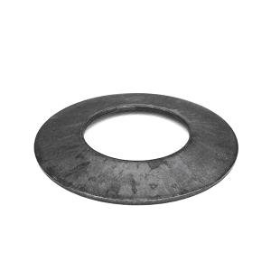 0002155110 CLAAS Belleville Spring