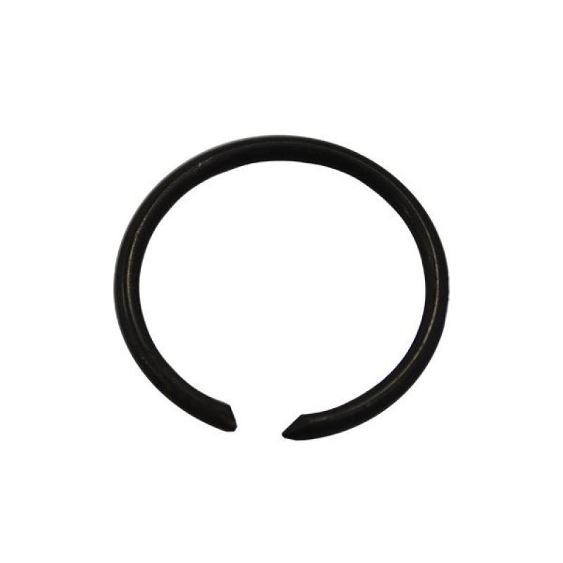 123763A1 Locking Ring CNH
