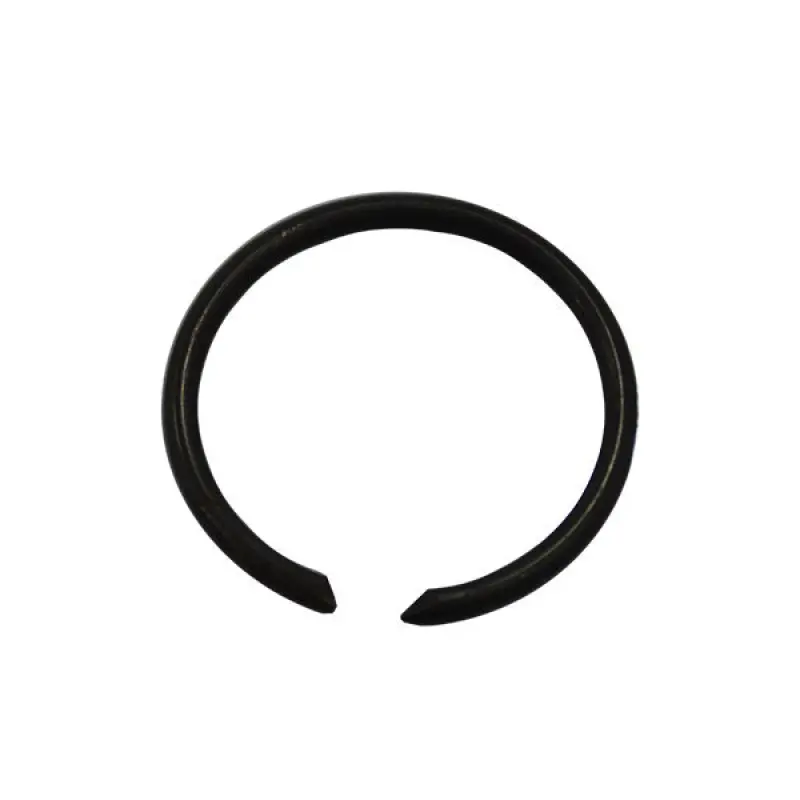 123763A1 Locking Ring CNH