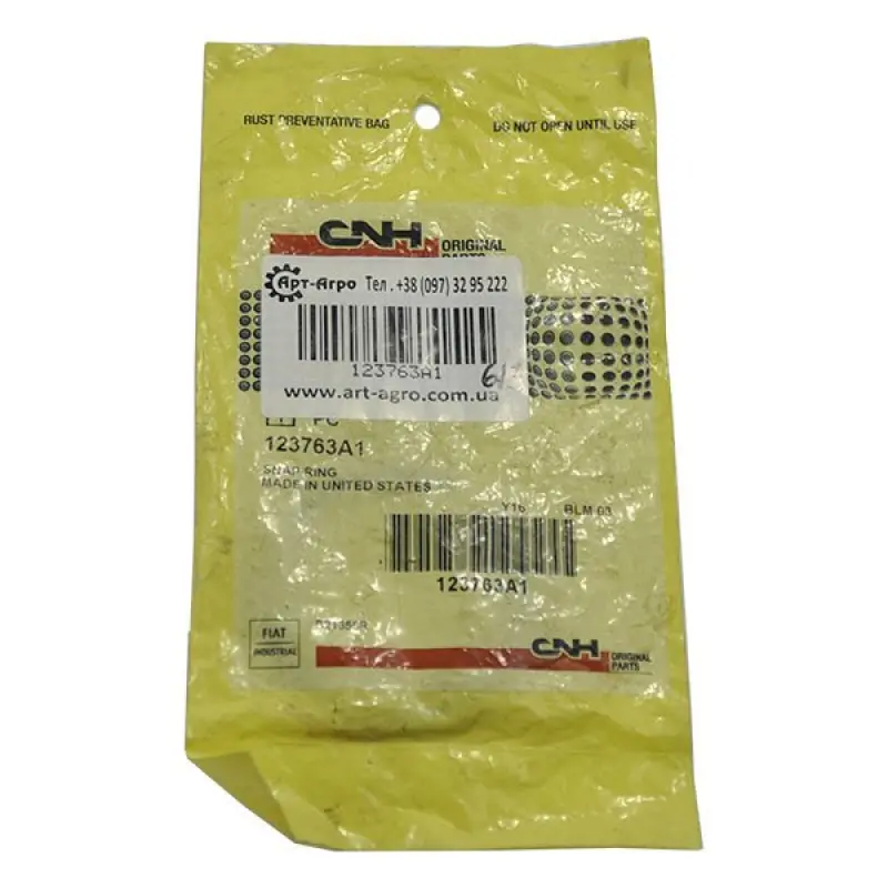 123763A1 Locking Ring CNH