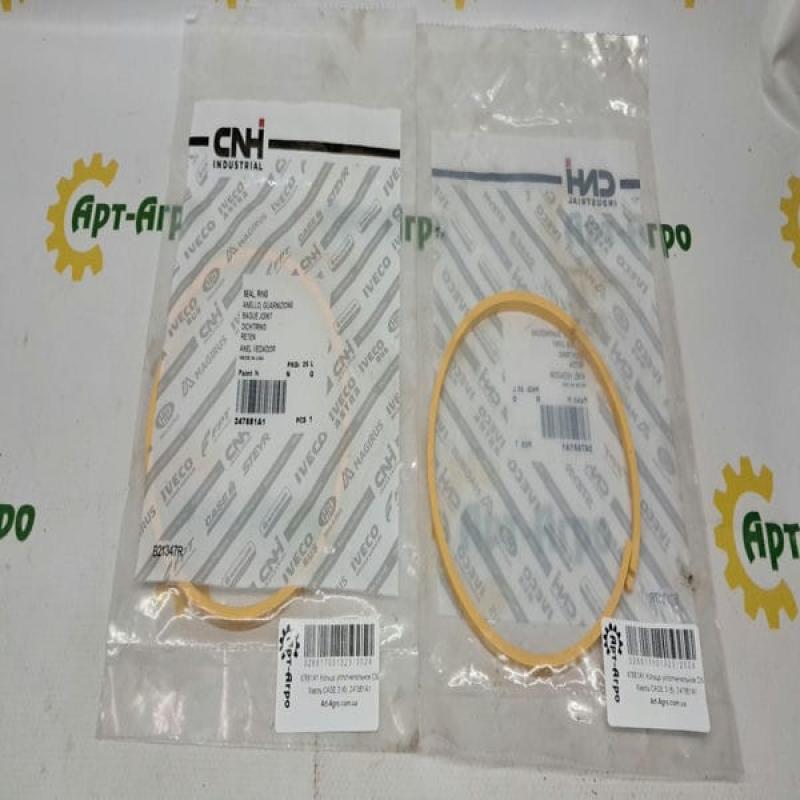 247881A1 O-ring CNH