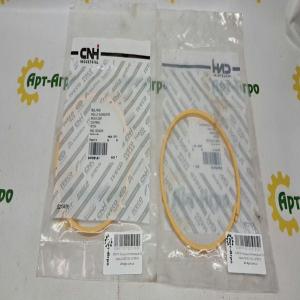 247881A1 Кольцо уплотнительное CNH