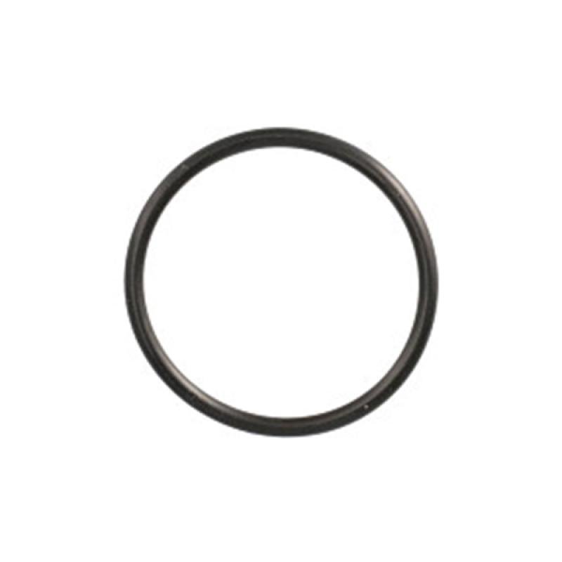 272380 O-ring CNH