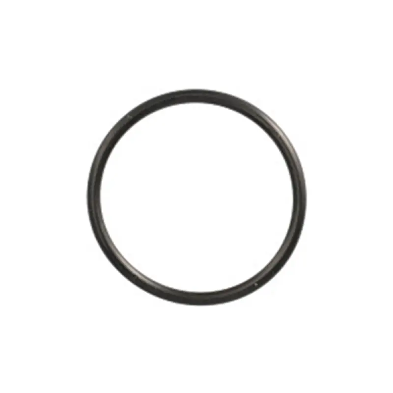 272380 O-ring CNH
