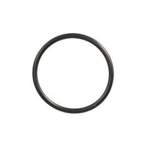 272380 O-ring CNH