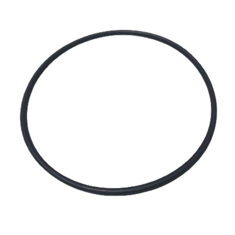 47545064 O-ring CNH
