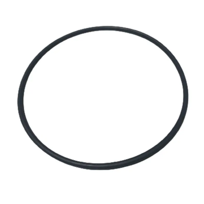 47545064 O-ring CNH
