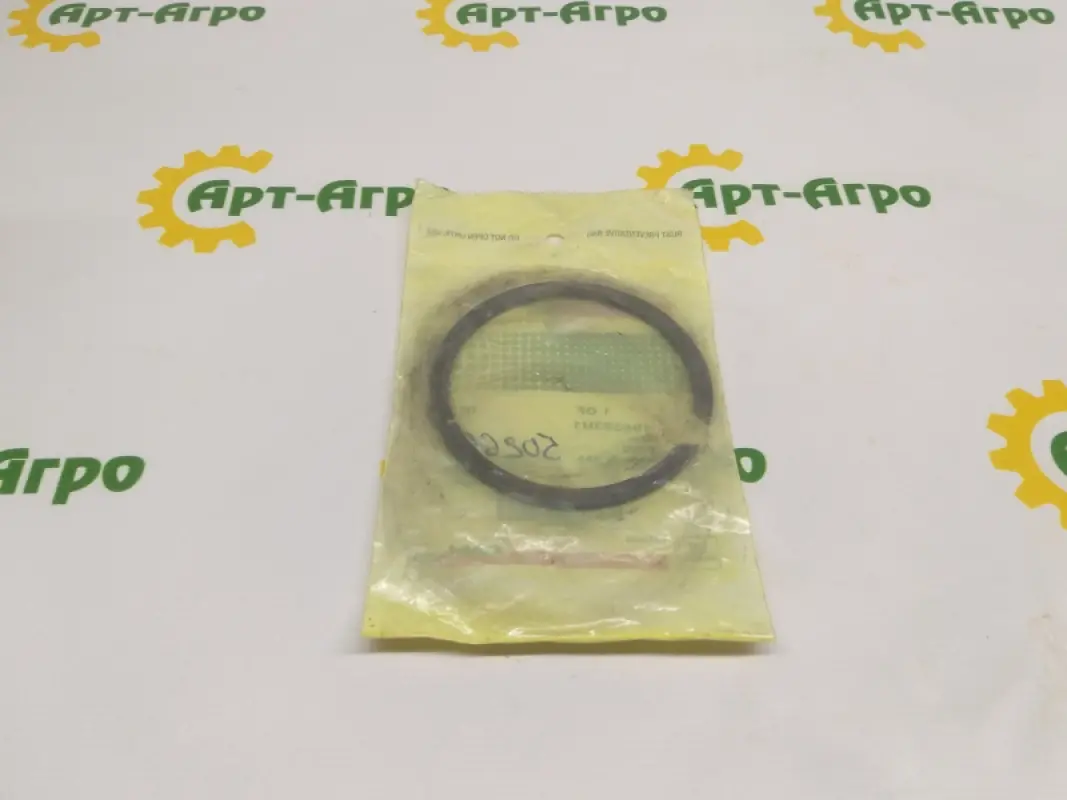 196693H1 Locking Ring CNH