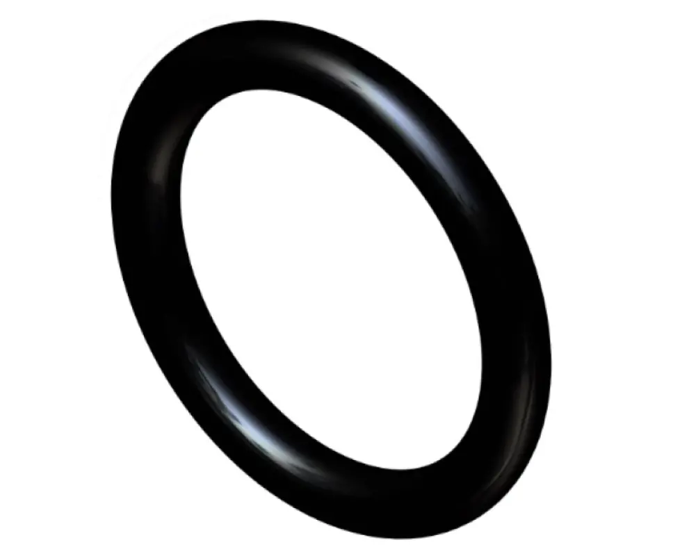 272217 O-ring CNH