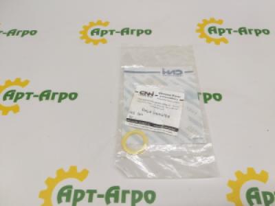 86013815 O-ring CNH