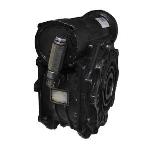 Motovario Worm Gear