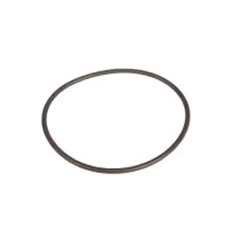 131-3718 Seal AGCO PARTS