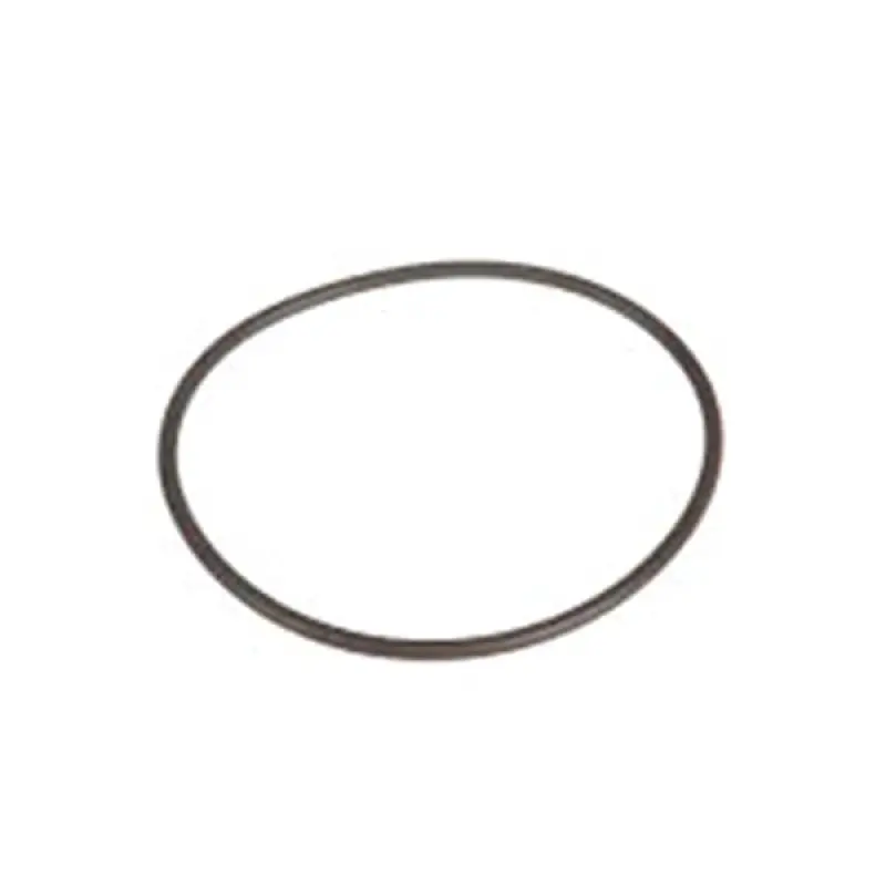 131-3718 Uszczelnienie AGCO PARTS