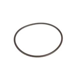 131-3718 Seal AGCO PARTS