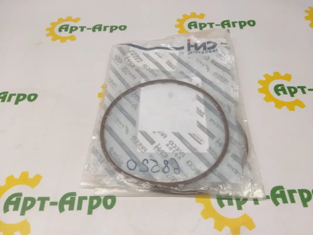 17291881 O-ring CNH