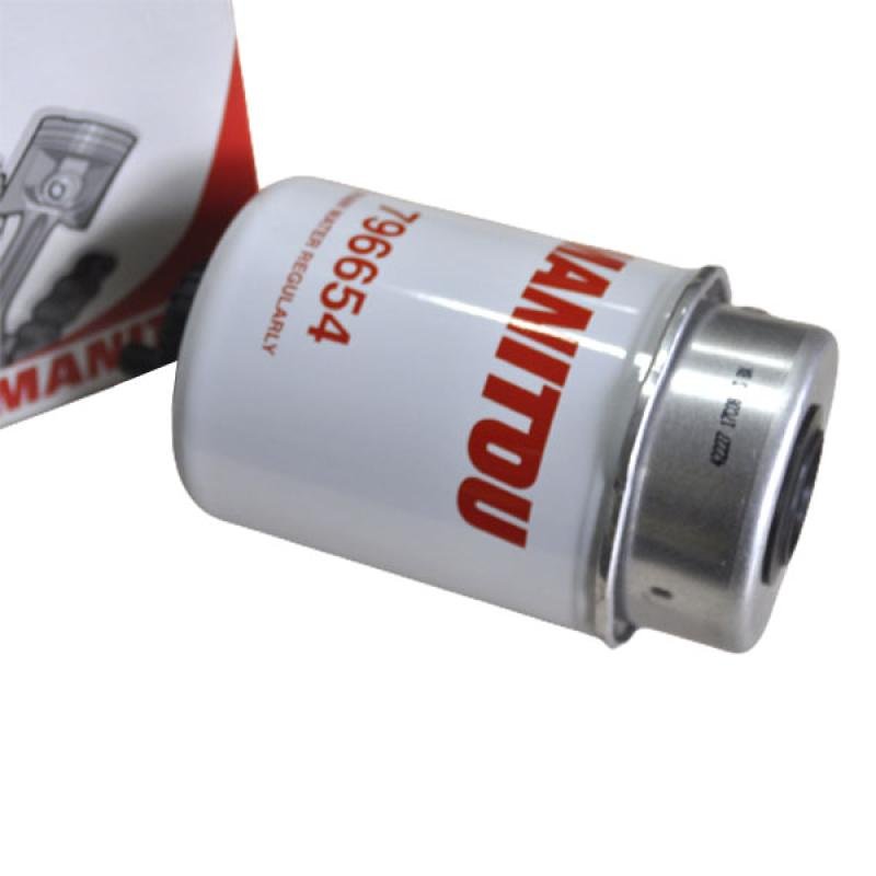 796654 Fuel Filter Manitou