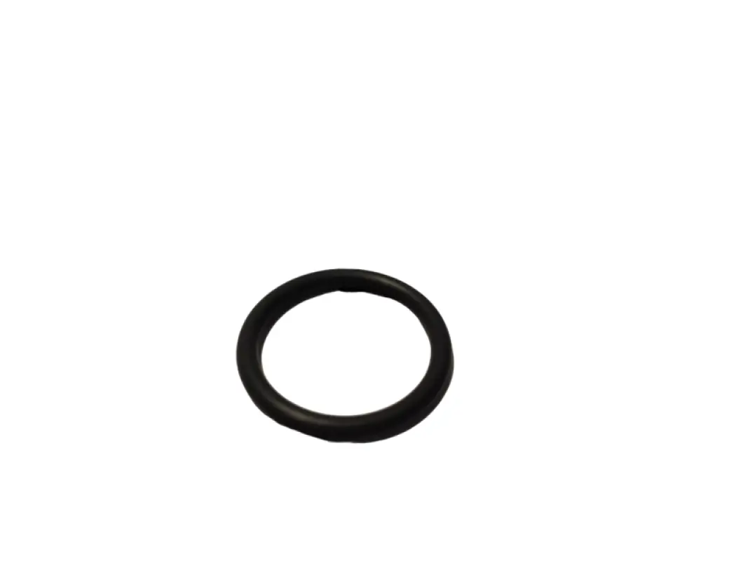 A77724 O-ring CNH