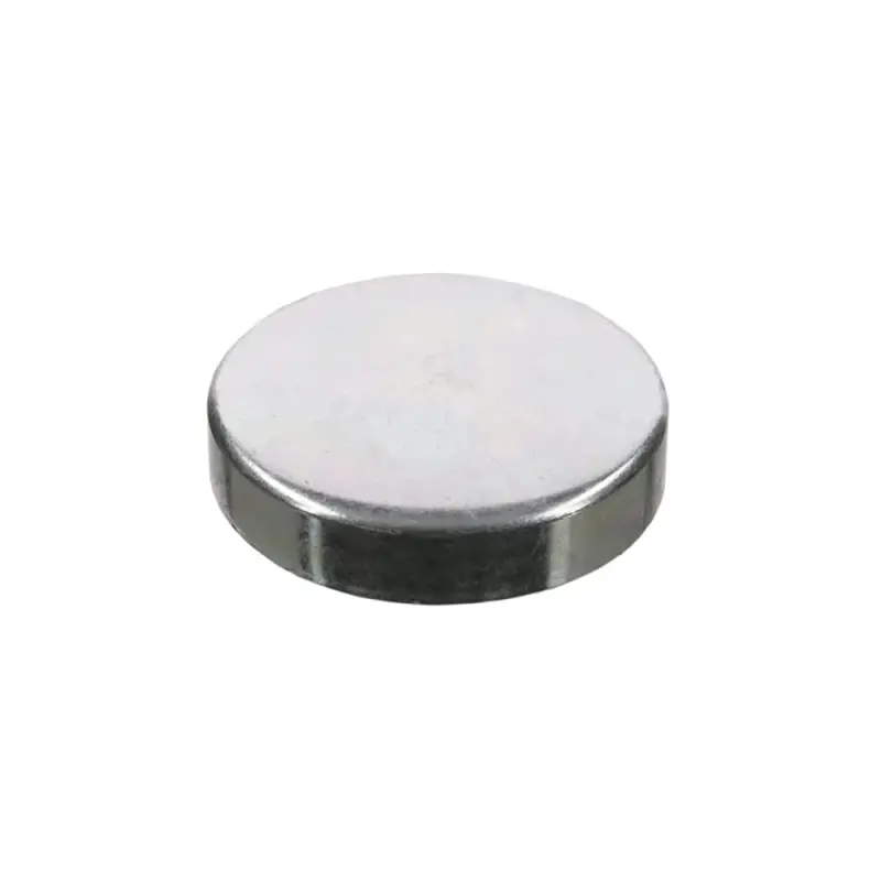 R82007 Cylinder Block Plug (Camshaft) John Deere