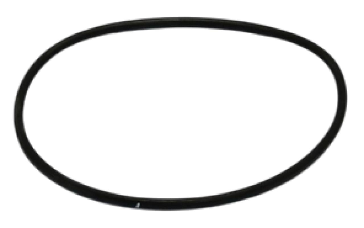 87612821 Pierścień uszczelniający CNH