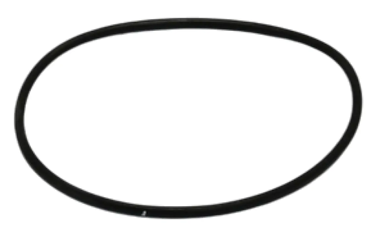 87612821 Pierścień uszczelniający CNH