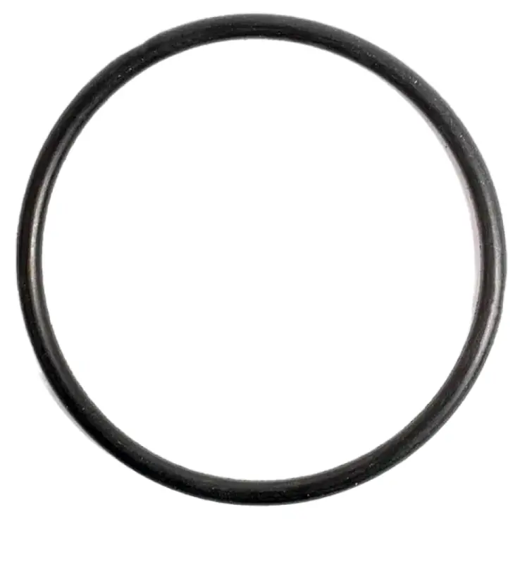 9824051Кольцо уплотнительное Case CNH