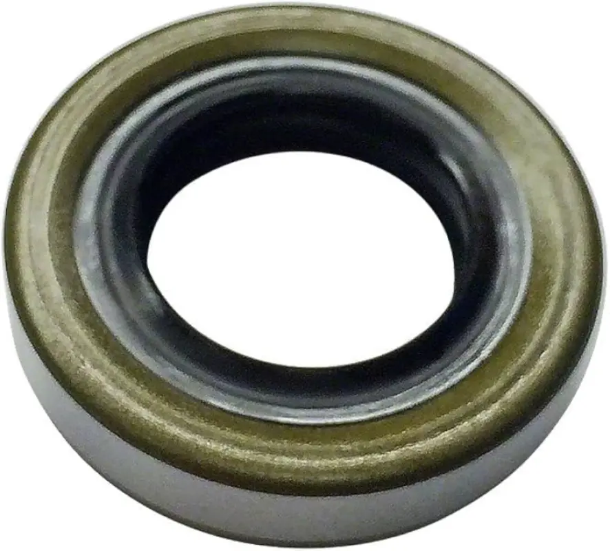 G105700 Uszczelka olejowa CNH