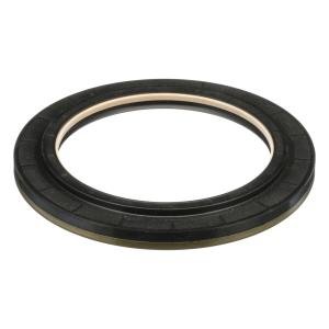 239942A3 Uszczelka tylnej osi (do osi 4-1/2*120) CNH