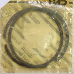 345337A1 Retaining Ring CNH