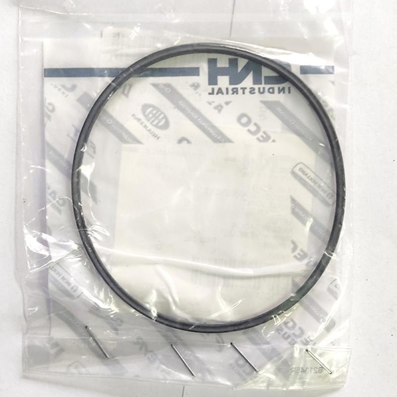 87105116 Sealing Ring CNH