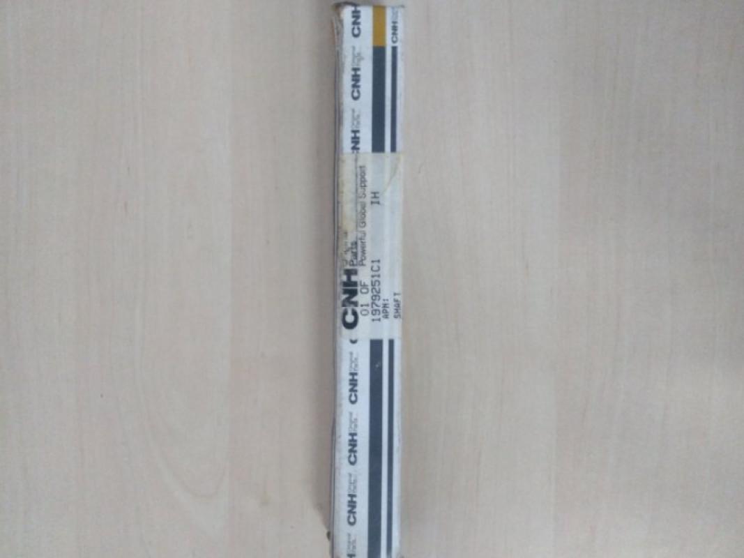 1979251C1 Central Screen Drive Pin CNH