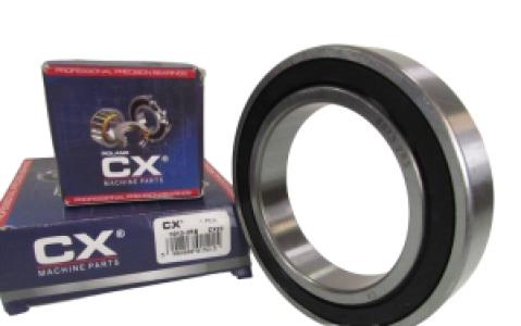 Single Row Ball Bearing Whale 6013-2RS CX