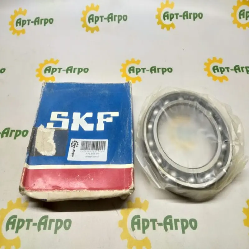 6018 SKF Single Row Ball Bearing