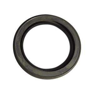 22925 Oil Seal SKF
