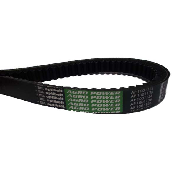 AP1001136 Pasek rozrządu Optibelt