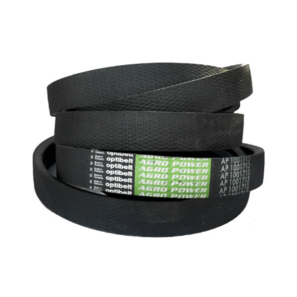 AP1001713 Pasek dwuklinowy Optibelt