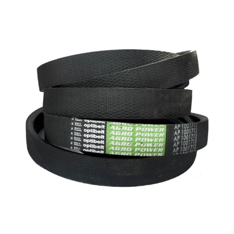 AP1001713 Double V-belt Optibelt